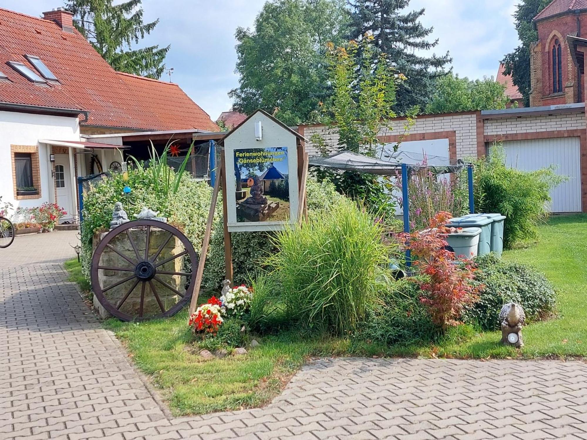Ferienwohnung Gaensebluemchen Wartenburg Zewnętrze zdjęcie